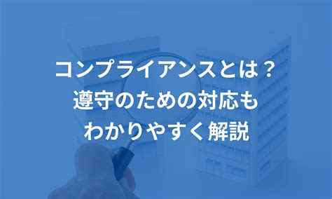 向井ゆうきとは？ わかりやすく解説